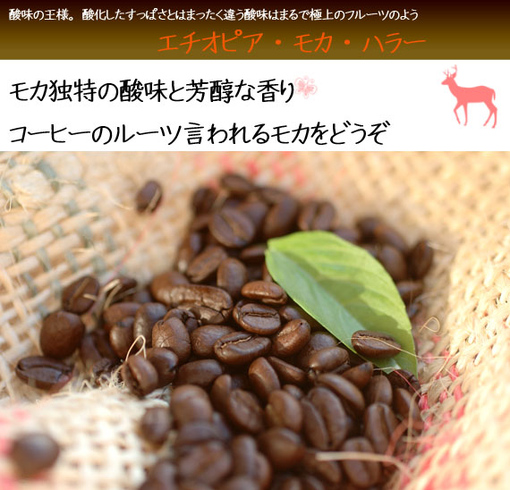エチオピアモカハラーコーヒー